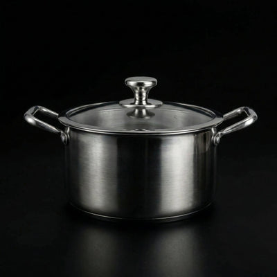 Titanium Cooking Pot with Lid
