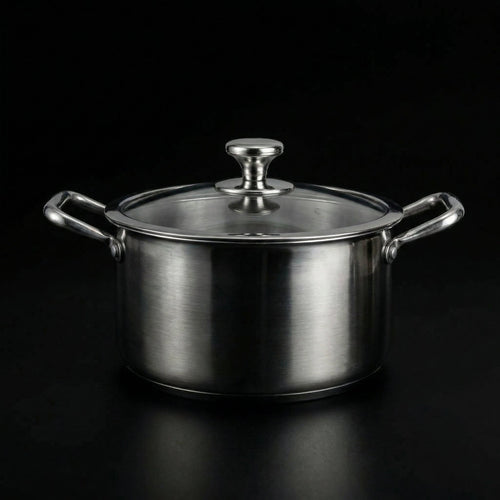 Titanium Cooking Pot with Lid