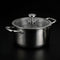 Titanium Cooking Pot with Lid